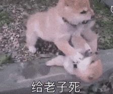 MK体育APP-No！别啊浓眉哥！独行侠天塌了...